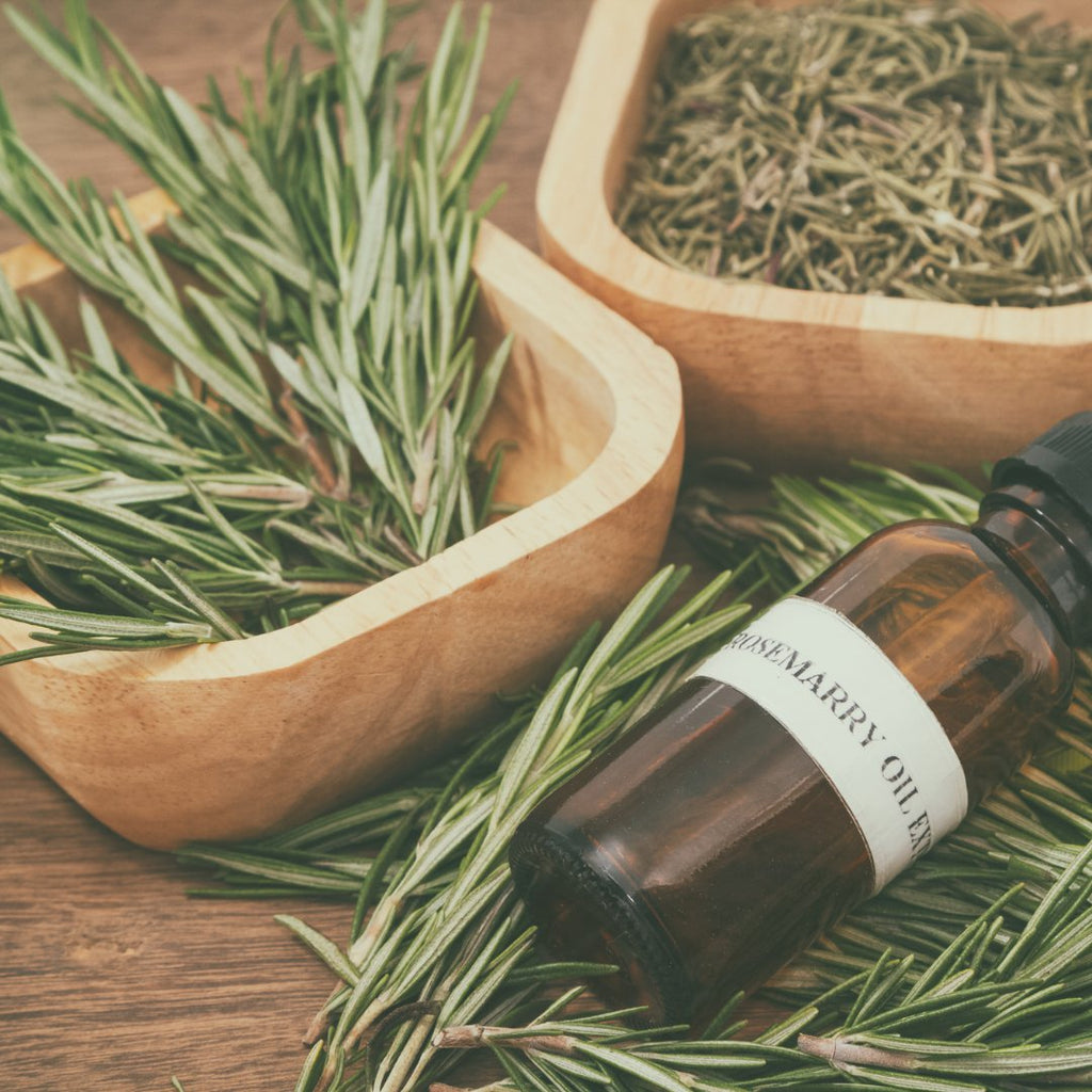 Rosemary Essential Oil: The Essence of Wellness
